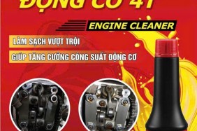 DẦU SÚC RỬA ĐỘNG CƠ 4T – Pro Honda Engine Cleaner